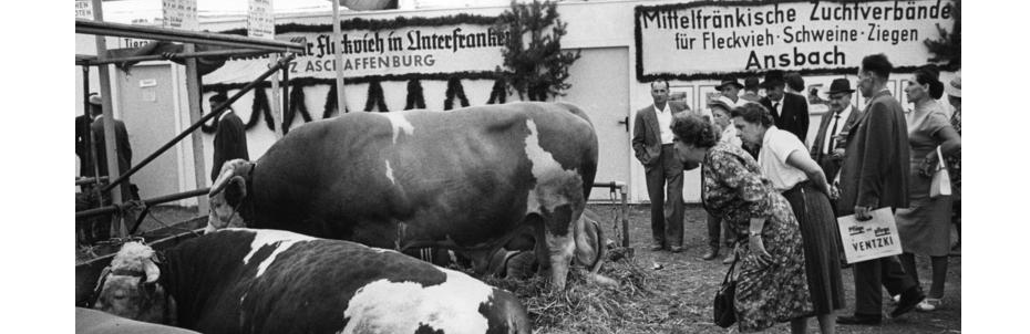 oktoberfest-analysis-part-ii